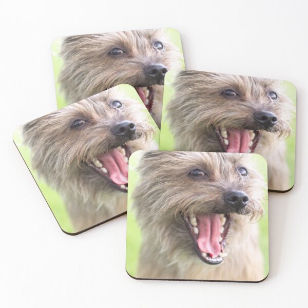 Item preview, Excited shorkie dog with open mouth  designed and sold by Pokofoto.