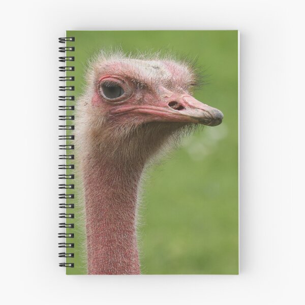Item preview, Ostrich designed and sold by aquabella.