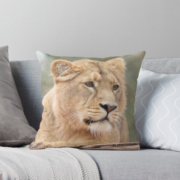 Item preview, Asiatic Lion designed and sold by aquabella.