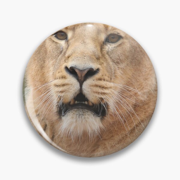 Item preview, Asiatic Lion designed and sold by aquabella.