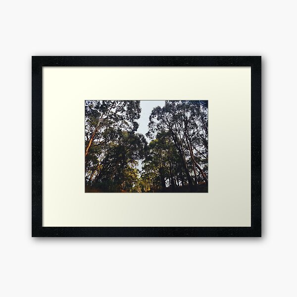 Item preview, Autumn Forest designed and sold by mn-imagerie.