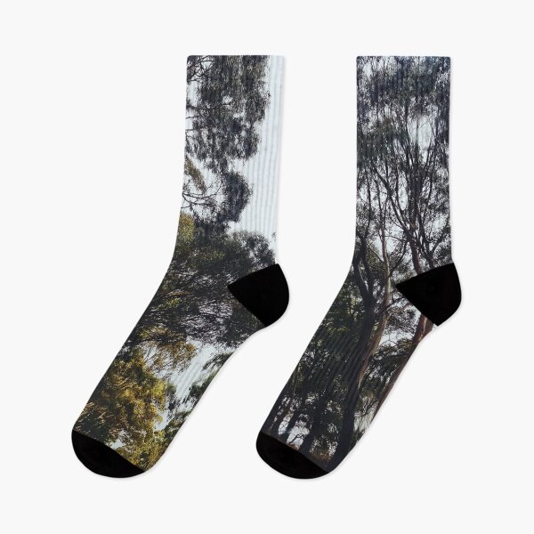 Item preview, Autumn Forest designed and sold by mn-imagerie.