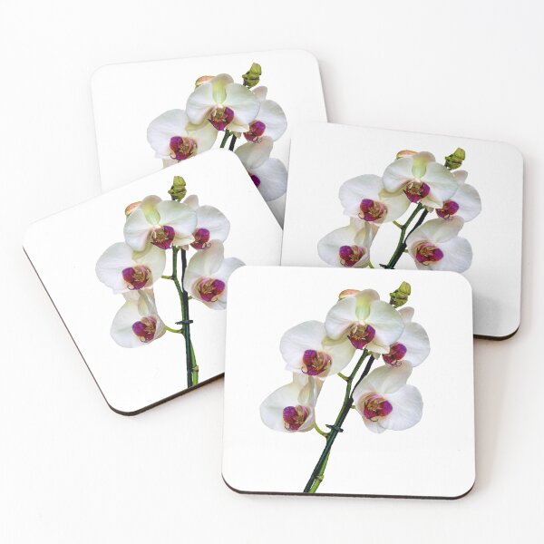 Item preview, The Beautiful Phalaenopsis Orchid designed and sold by Frank  Irwin.