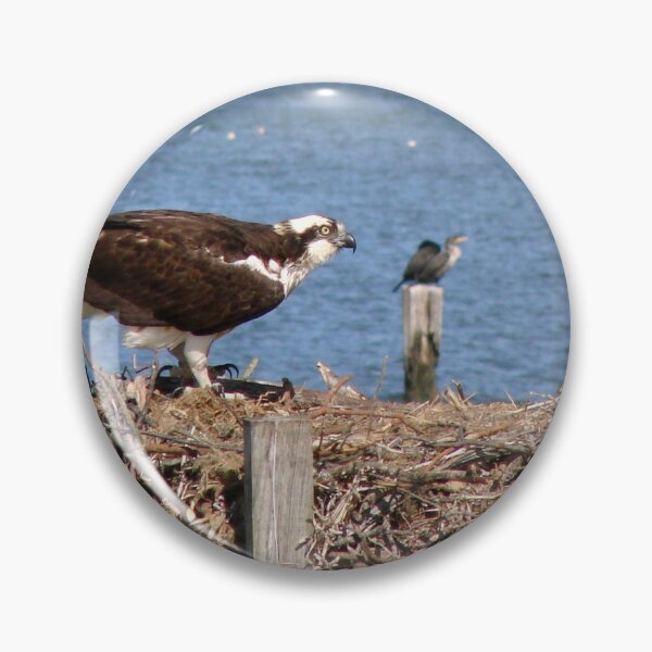 Item preview, Osprey Nesting designed and sold by Timothy Gass.