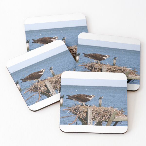 Item preview, Osprey Nesting designed and sold by Timothy Gass.