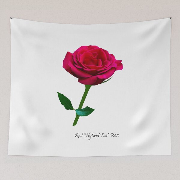 Item preview, Beautiful Red Hybrid Tea Rose designed and sold by Frank  Irwin.