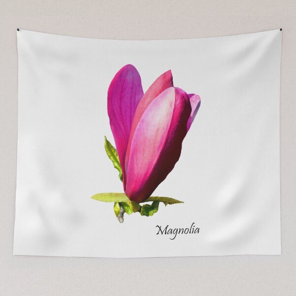 Item preview, Beautiful Sturdy Magnolia designed and sold by Frank  Irwin.