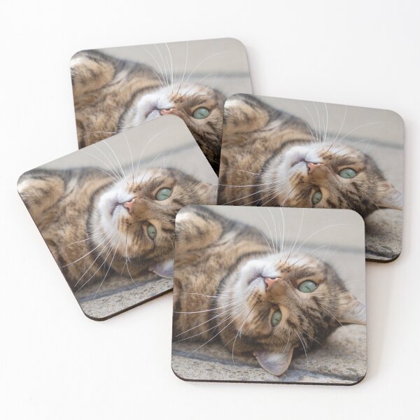 Item preview, Cute tabby cat lying down designed and sold by Pokofoto.