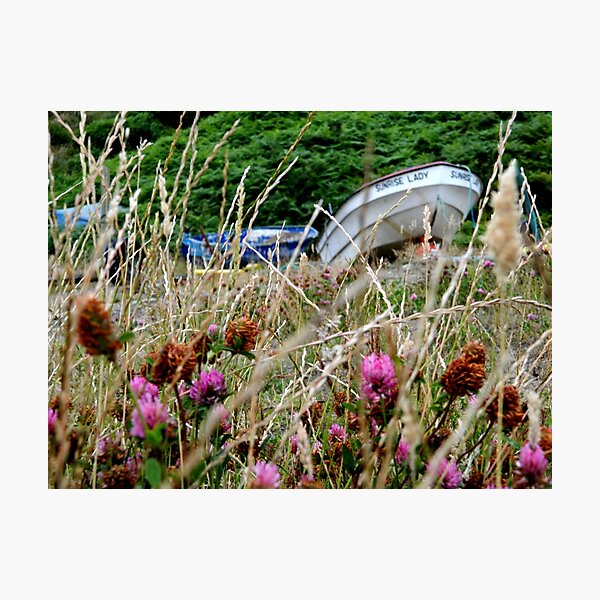 Item preview, The Boat designed and sold by JessBerryPics.