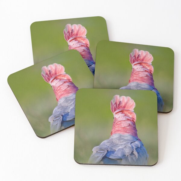 Item preview, Windswept Galah designed and sold by Jennie  Stock.