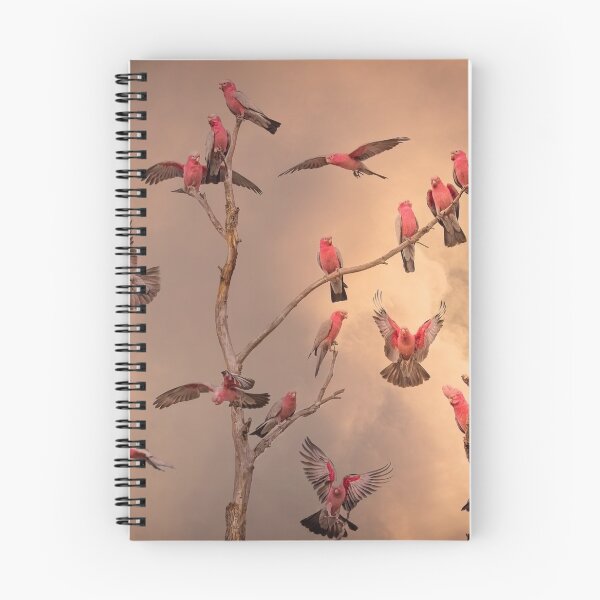 Item preview, Smoky Galahs designed and sold by Jennie  Stock.
