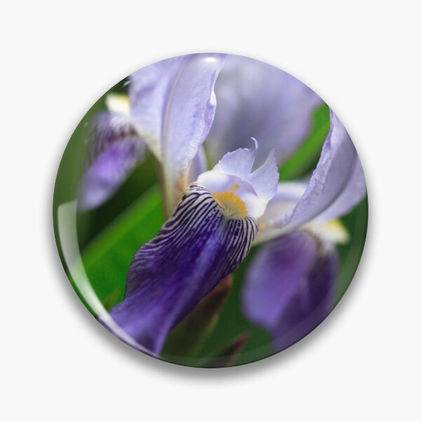 Item preview, Blue iris on nature background ( Ukraine Vinnitsya) designed and sold by olena2552.