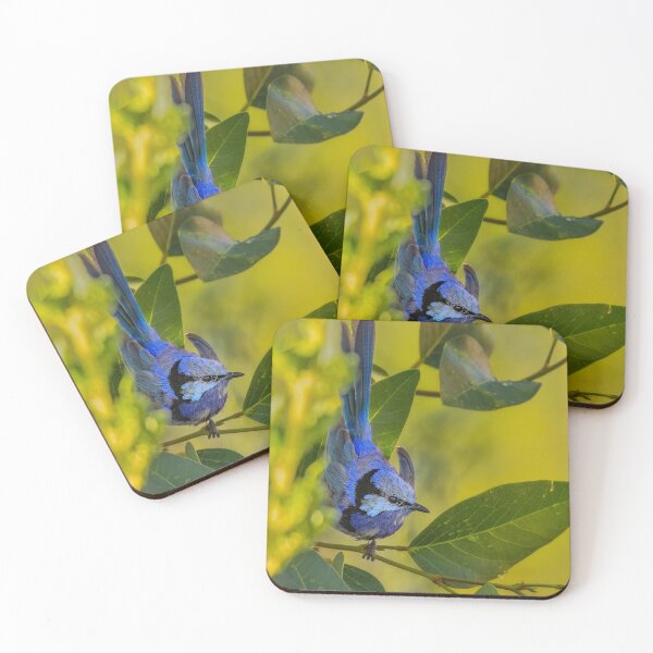 Item preview, Splendid Fairy-wren on Hardenbergia designed and sold by Jennie  Stock.