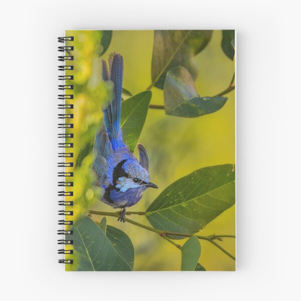 Item preview, Splendid Fairy-wren on Hardenbergia designed and sold by Jennie  Stock.