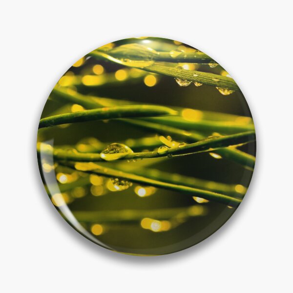 Item preview, Glittering of raindrops on pine needles designed and sold by yarvin13.