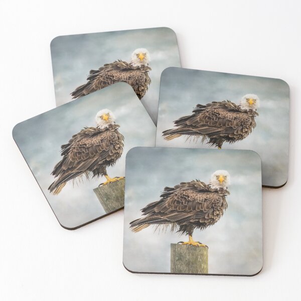 Item preview, American Bald Eagle shaking feathers designed and sold by Tori Andrews.