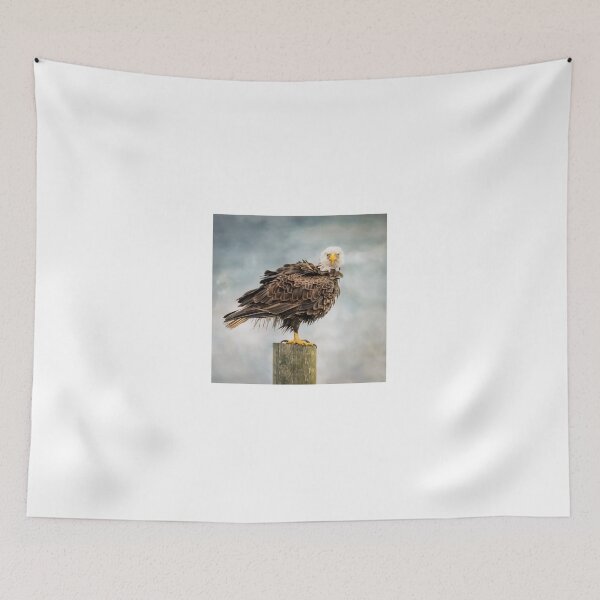 Item preview, American Bald Eagle shaking feathers designed and sold by Tori Andrews.