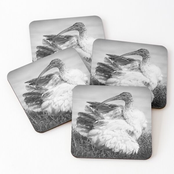 Item preview, Ibis Preening designed and sold by Jennie  Stock.