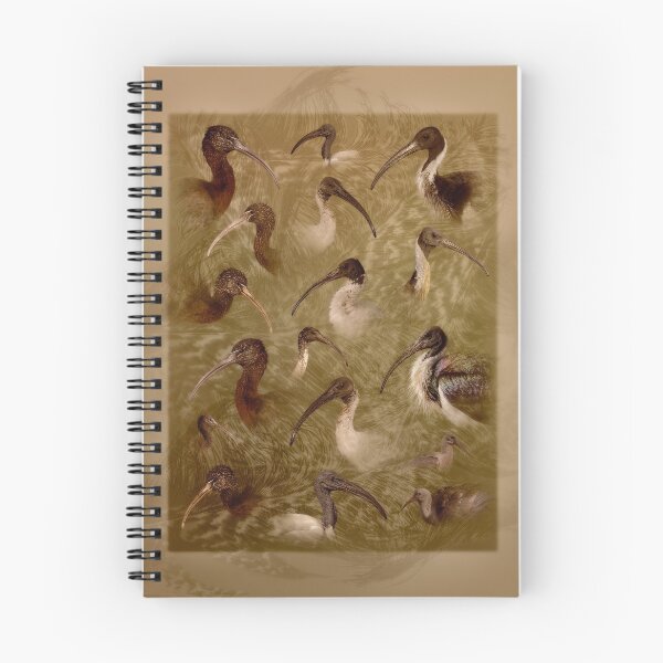 Item preview, Not just a Bin-Chicken designed and sold by Jennie  Stock.