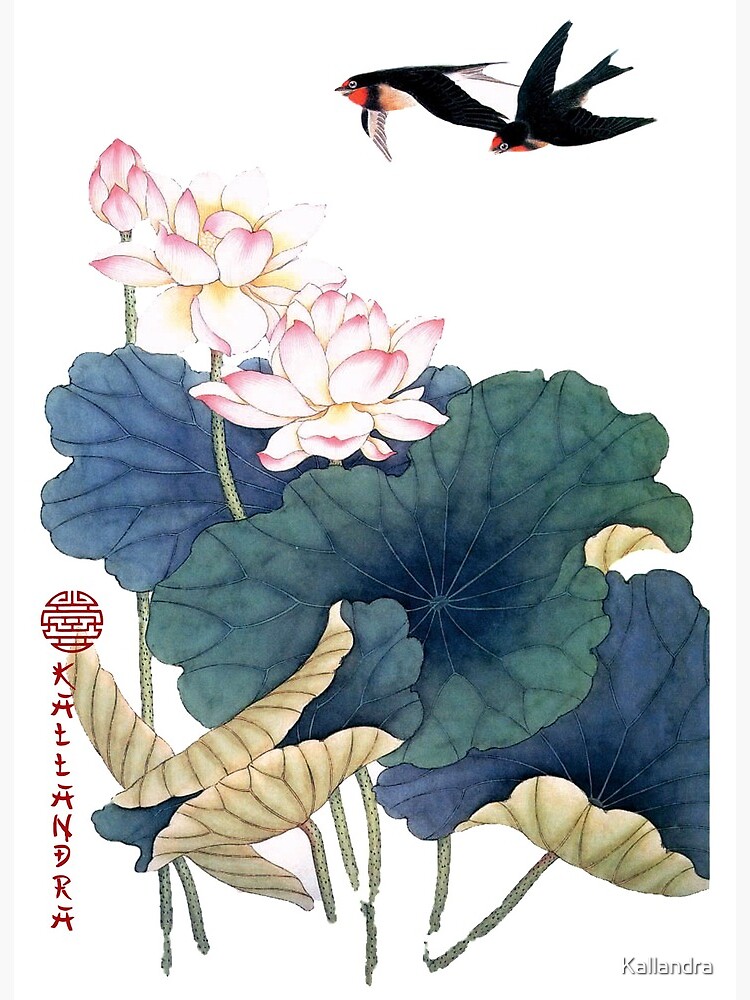 lotus and birds chinese flower painting