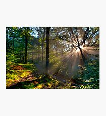 good morning Photographic Print