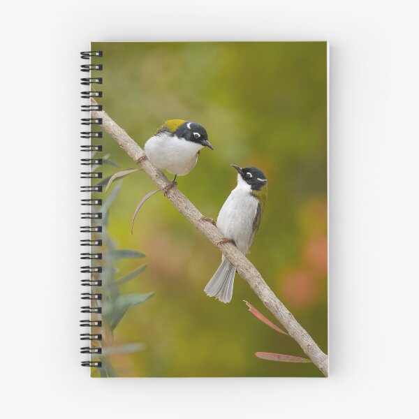 Item preview, Gilbert's Honeyeater pair designed and sold by Jennie  Stock.