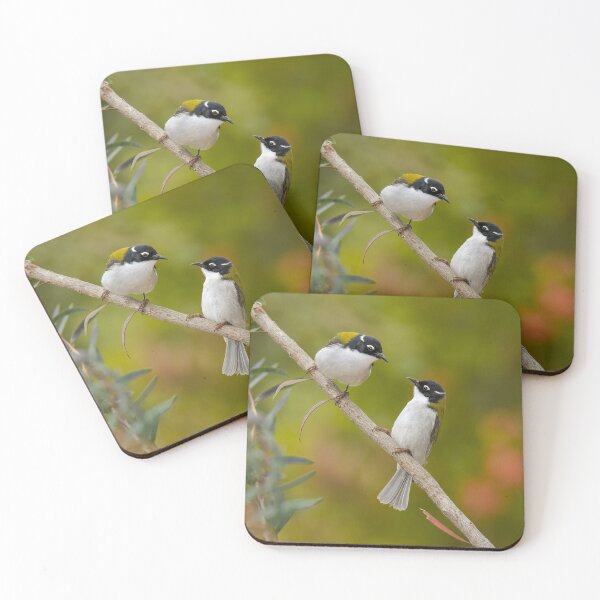 Item preview, Gilbert's Honeyeater pair designed and sold by Jennie  Stock.