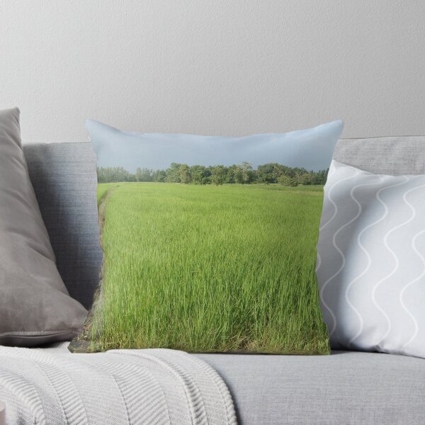 Item preview, Natural vegetation rice designed and sold by sellgreengroup.