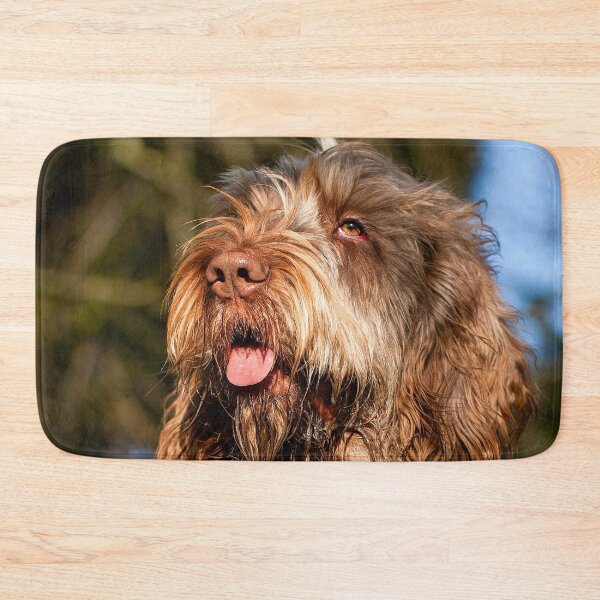 Item preview, Sunny day Spinone designed and sold by FOLK ART FUSION by heidiannemorris.