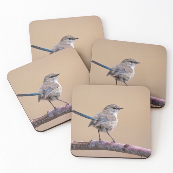 Item preview, Scruffy Wren designed and sold by Jennie  Stock.
