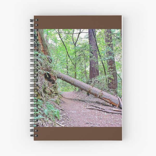 Item preview, Fallen Tree Across the Trail designed and sold by Martha Sherman.