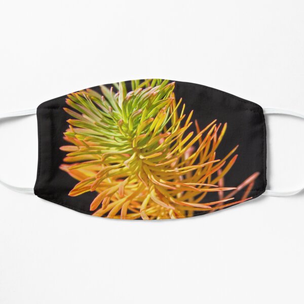 Colored plant that looks like pine leaves on fire Mask