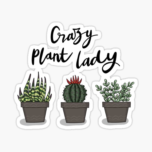 Plant Sticker Set, Crazy Plant Lady Gift, Cactus Sticker, Plant