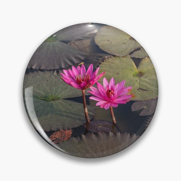 Item preview, Water Lilies designed and sold by madtoyman.