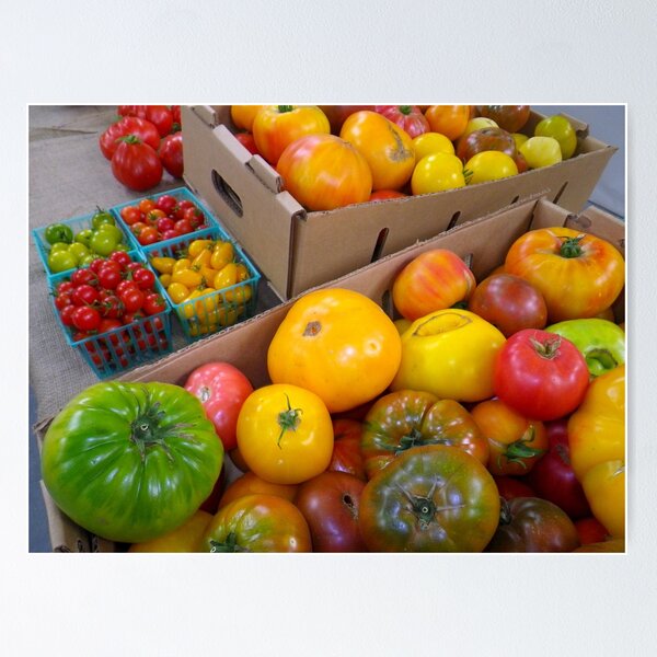 Item preview, Heritage Tomato Rainbow designed and sold by Betty Mackey.