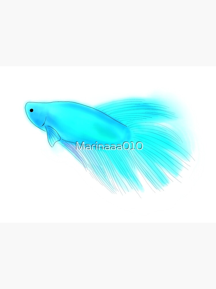 Premium Photo  Neon colour fish blue koi guppy purple betta for sale  healthy fishing net vector