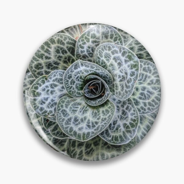 Item preview, Nature's Mandala designed and sold by brusling.