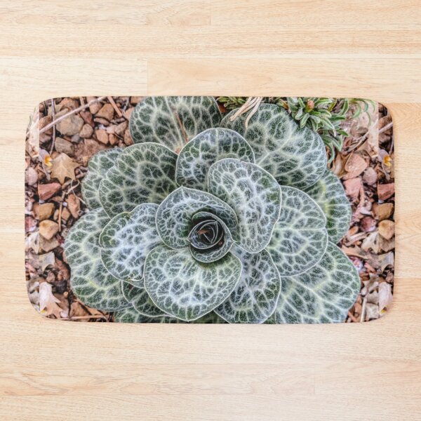 Item preview, Nature's Mandala designed and sold by brusling.