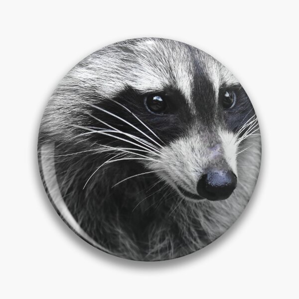 Item preview, The Corona Mascot - The Raccoon designed and sold by Glineur.
