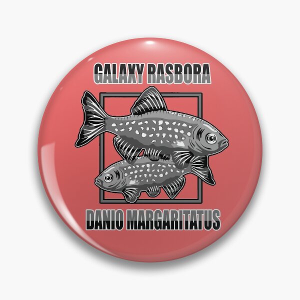 Item preview, Galaxy Rasbora Danio Margaritatus b/w - Tropical Ornamental Aquarium Fish designed and sold by TheAplus.