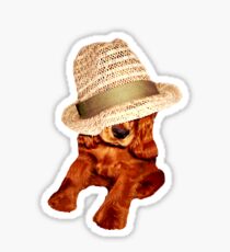 Being cool Sticker