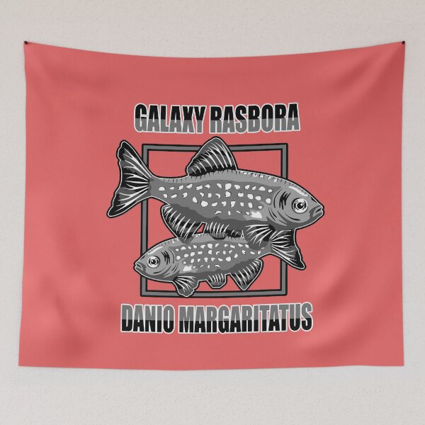 Item preview, Galaxy Rasbora Danio Margaritatus b/w - Tropical Ornamental Aquarium Fish designed and sold by TheAplus.