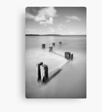 Zig Zag. Canvas Print
