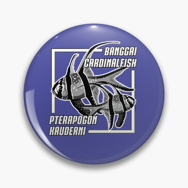 Item preview, Banggai Cardinalfish Pterapogon kauderni b/w - Tropical Ornamental Aquarium Fish designed and sold by TheAplus.