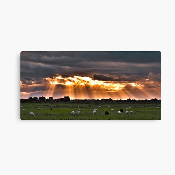 Item preview, Sun rays designed and sold by THHoang.