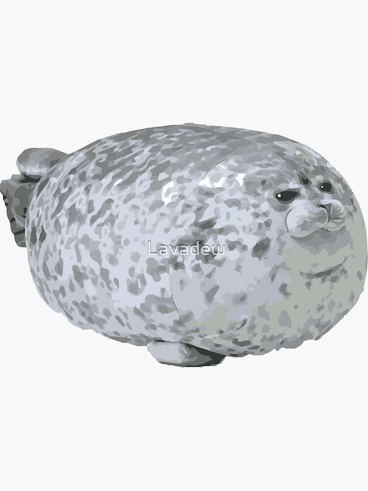 cute chonky seal