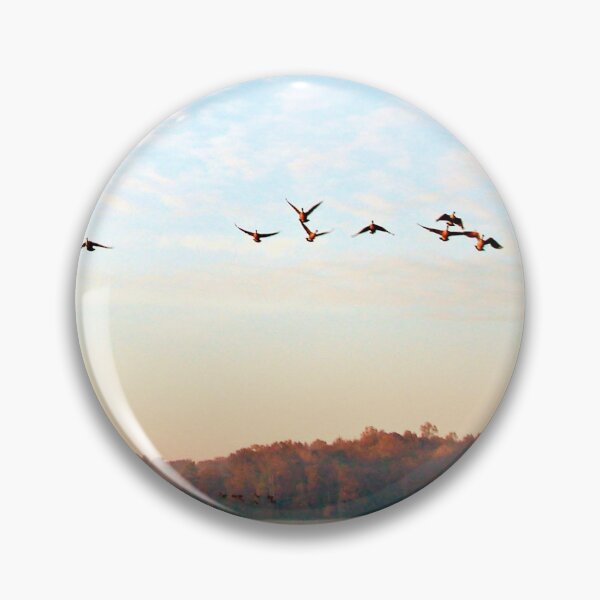 Item preview, Canada geese take flight in the early morning light. designed and sold by Timothy Gass.
