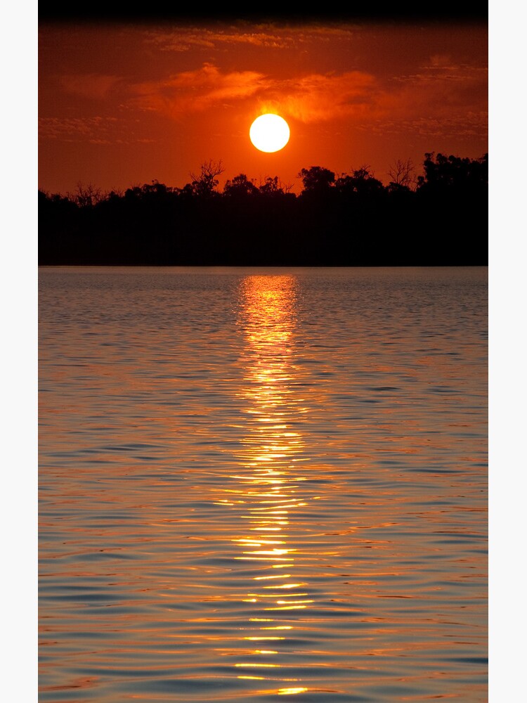 Golden Reflection by mcclare