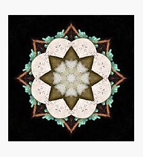 Natural Abstract Symmetry Photographic Print