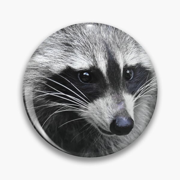 Item preview, The pretty raccoon designed and sold by Glineur.